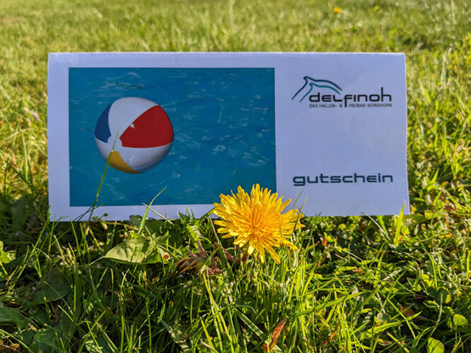 100,00 Euro Wertgutschein